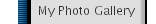 My Photo Gallery